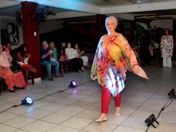 Desfile Enaide Freire