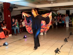 Desfile Enaide Freire