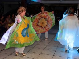 Desfile Enaide Freire