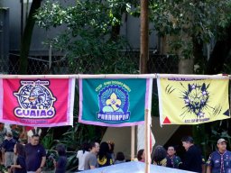 Festival Indígena de São Vicente